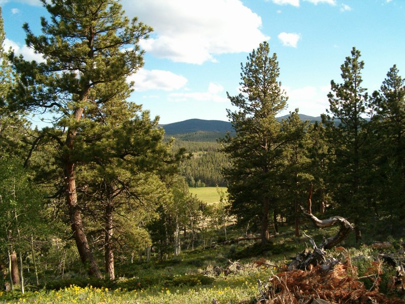 Property photo 1 - Get Lost in the Pristine Northern Colorado Rockies - Prime Building Sites